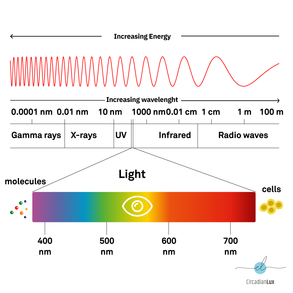 Light spectrum