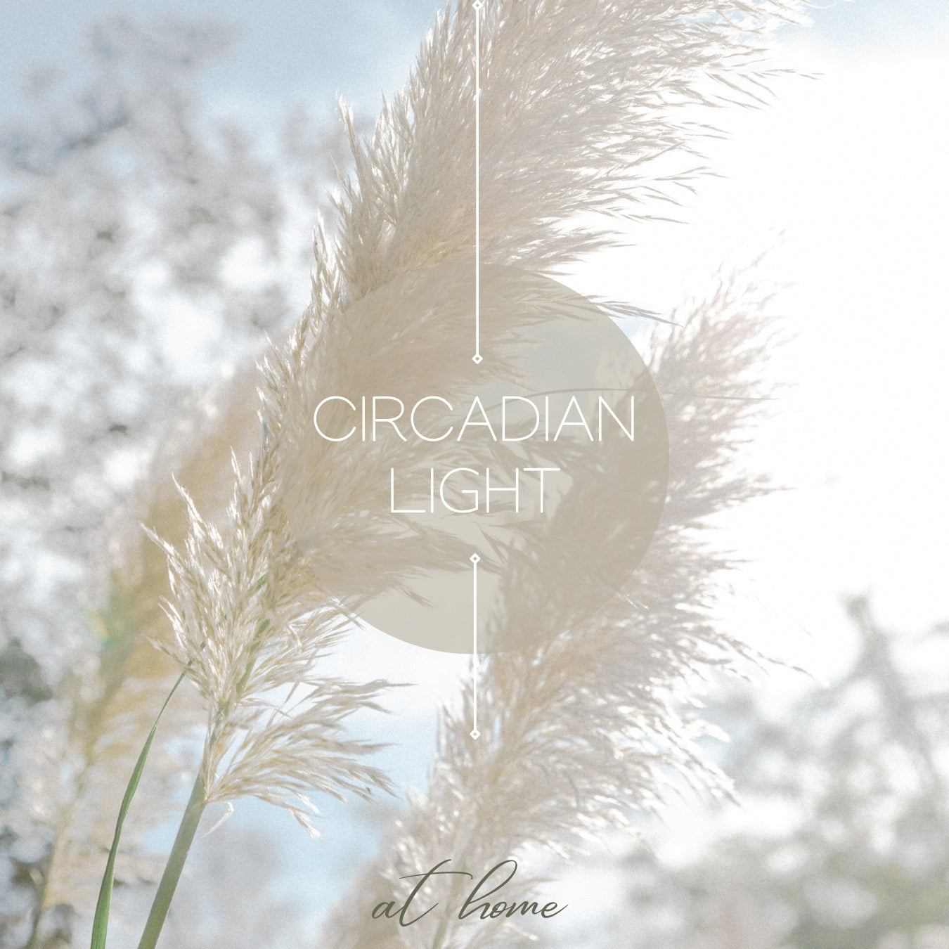 Circadian Lighting Design for the Home: Criteria, Standards and Lighti